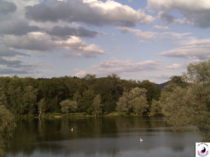 Bewegte Natur beim Training im Freien